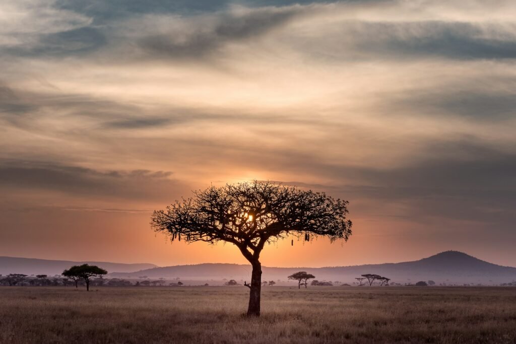 Amazon Rainforest travel landscape