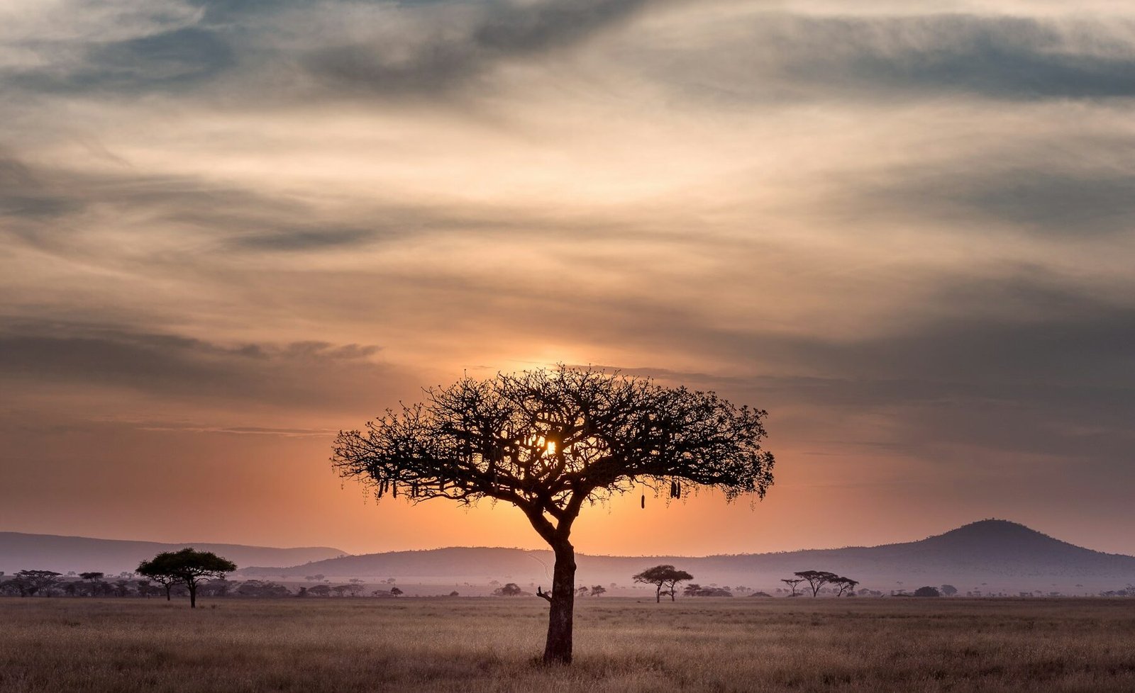 Amazon Rainforest travel landscape