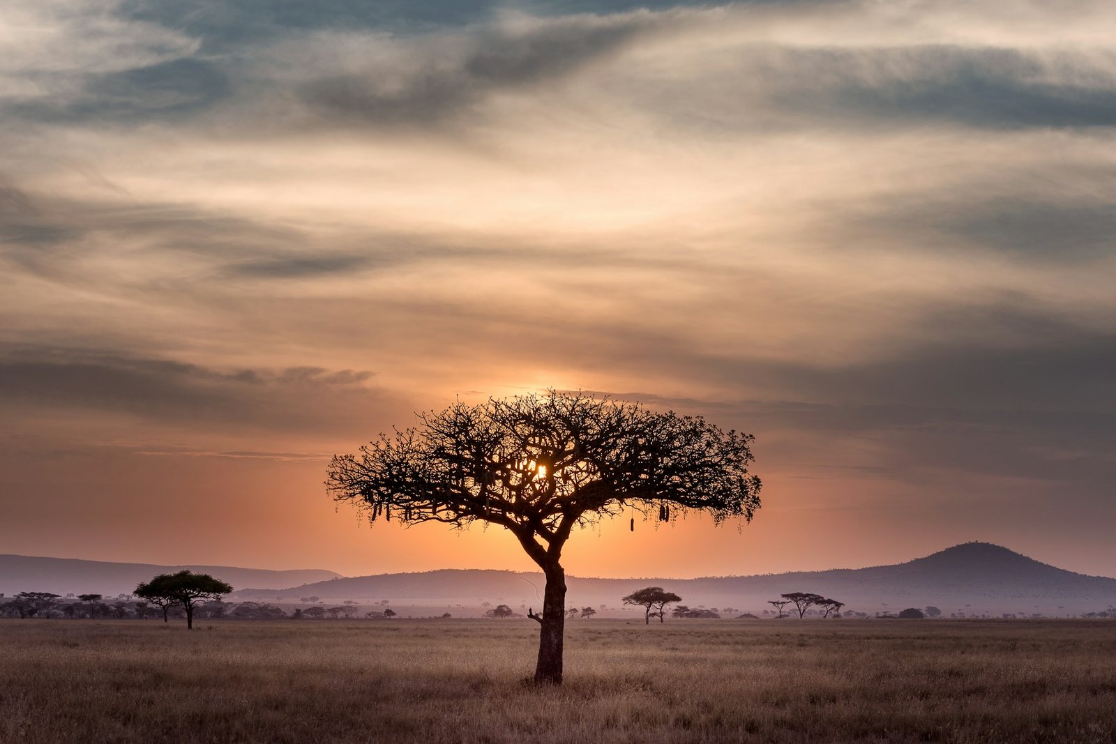 Amazon Rainforest travel landscape