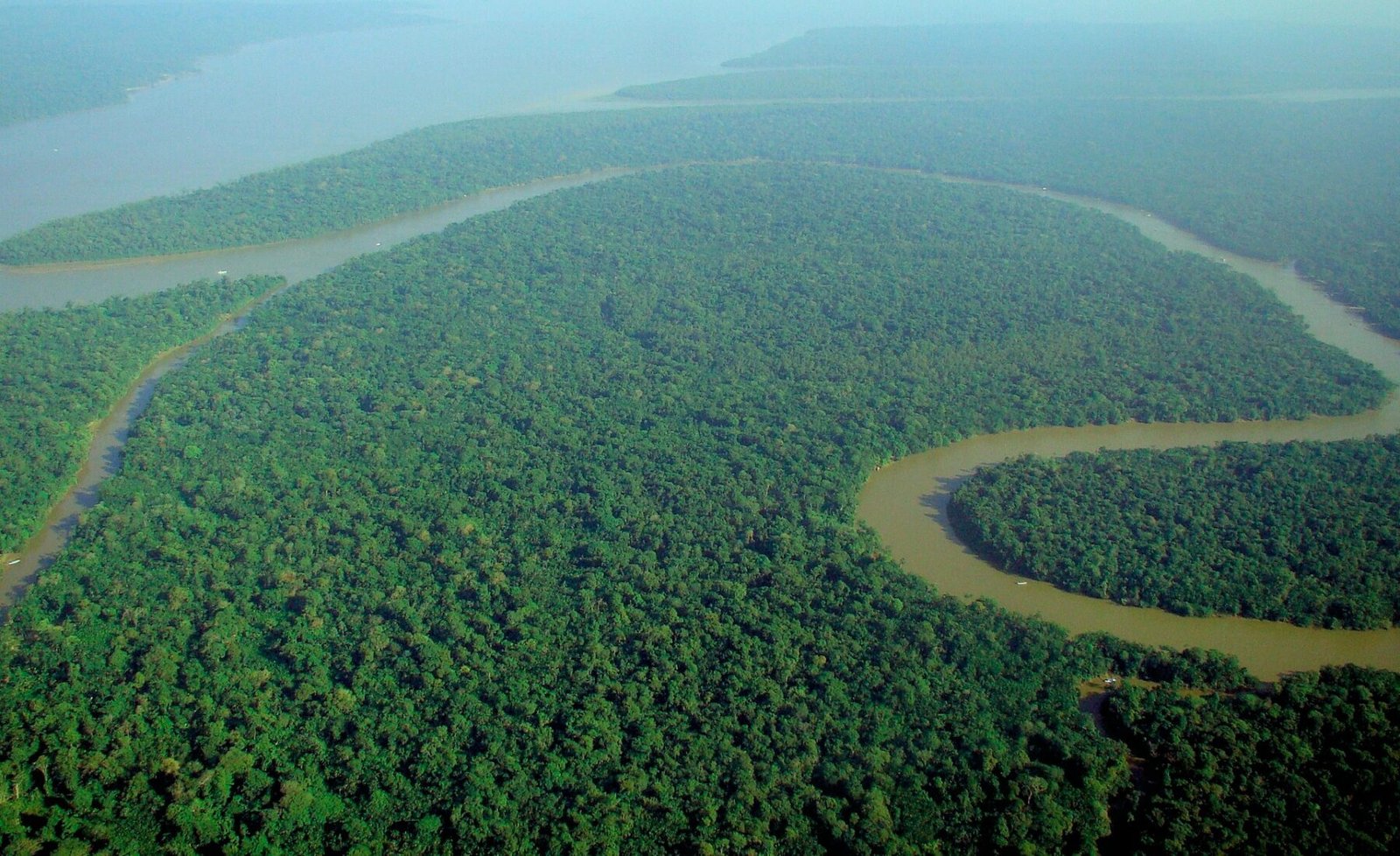 Aerial view of the Amazon Rainforest.jpg in Amazon Rainforest