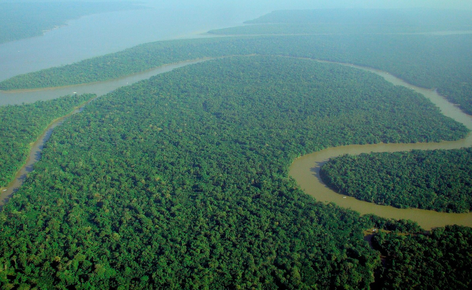 Aerial view of the Amazon Rainforest.jpg in Amazon Rainforest