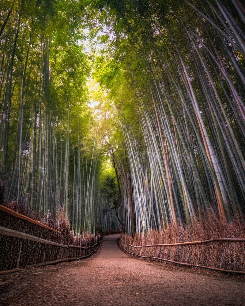 Arashiyama
