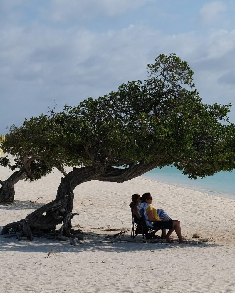 Aruba Travel Guide: Beaches, Costs, Best Areas & 5-Day Plan
