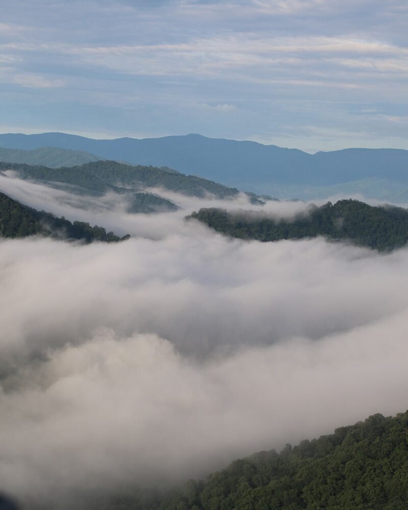 Asheville Travel Guide: Blue Ridge Itinerary, Costs & Best Areas