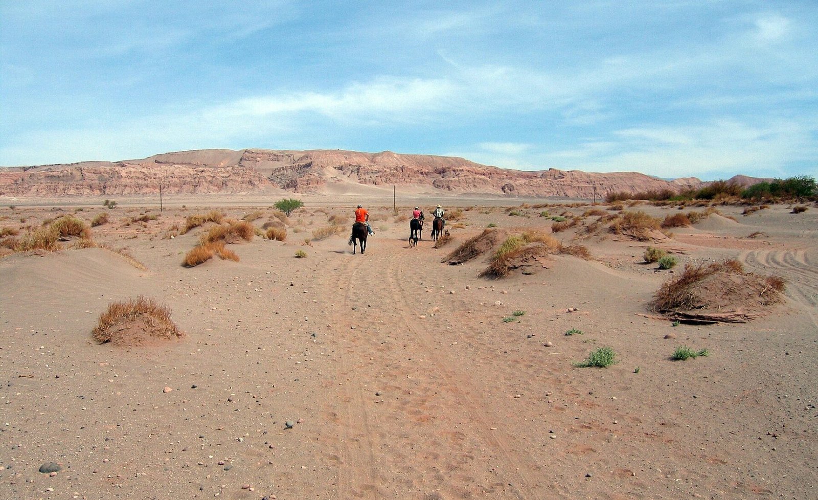 San Pedro de Atacama (desert).jpg in Atacama Desert
