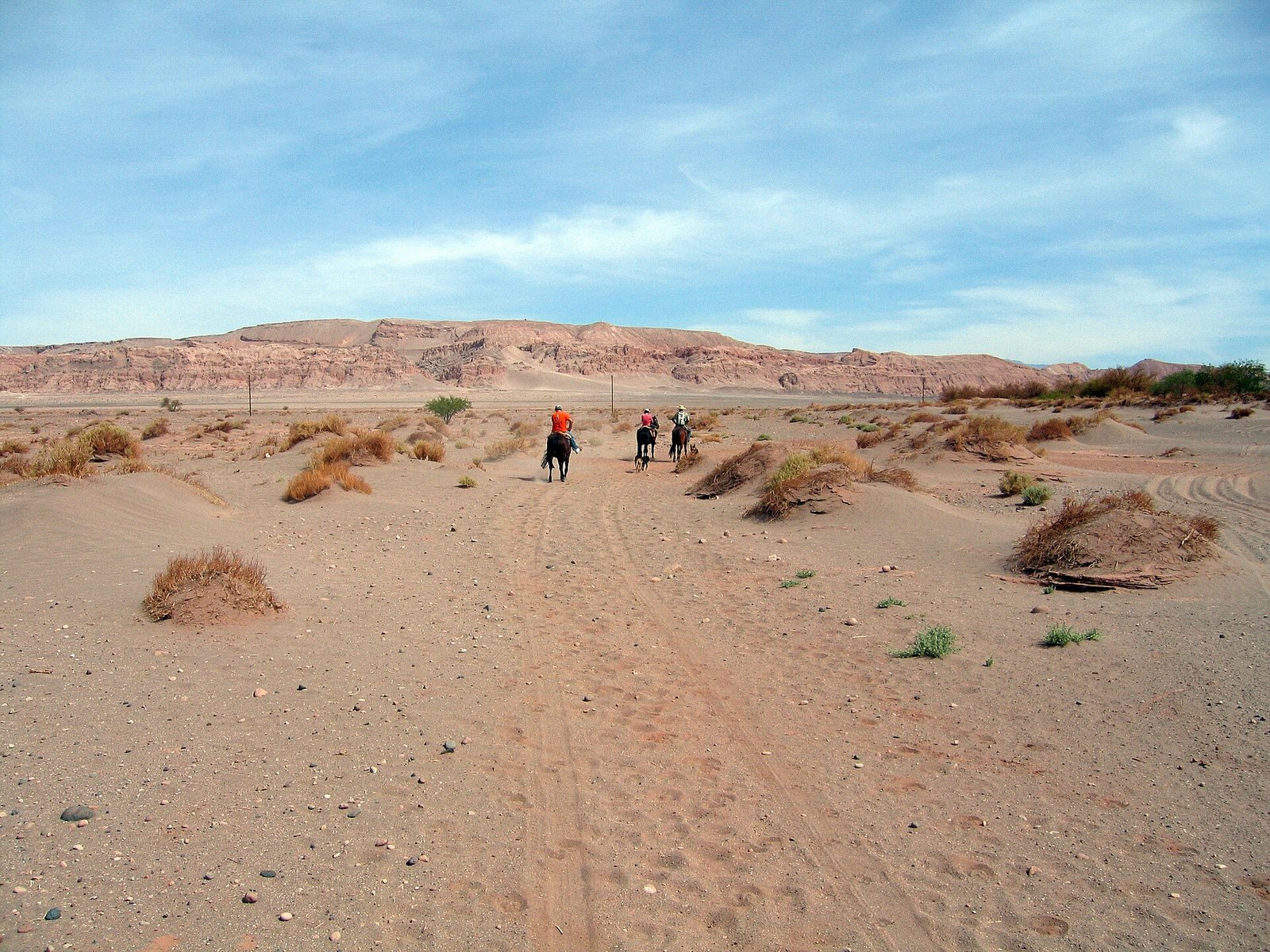 San Pedro de Atacama (desert).jpg in Atacama Desert