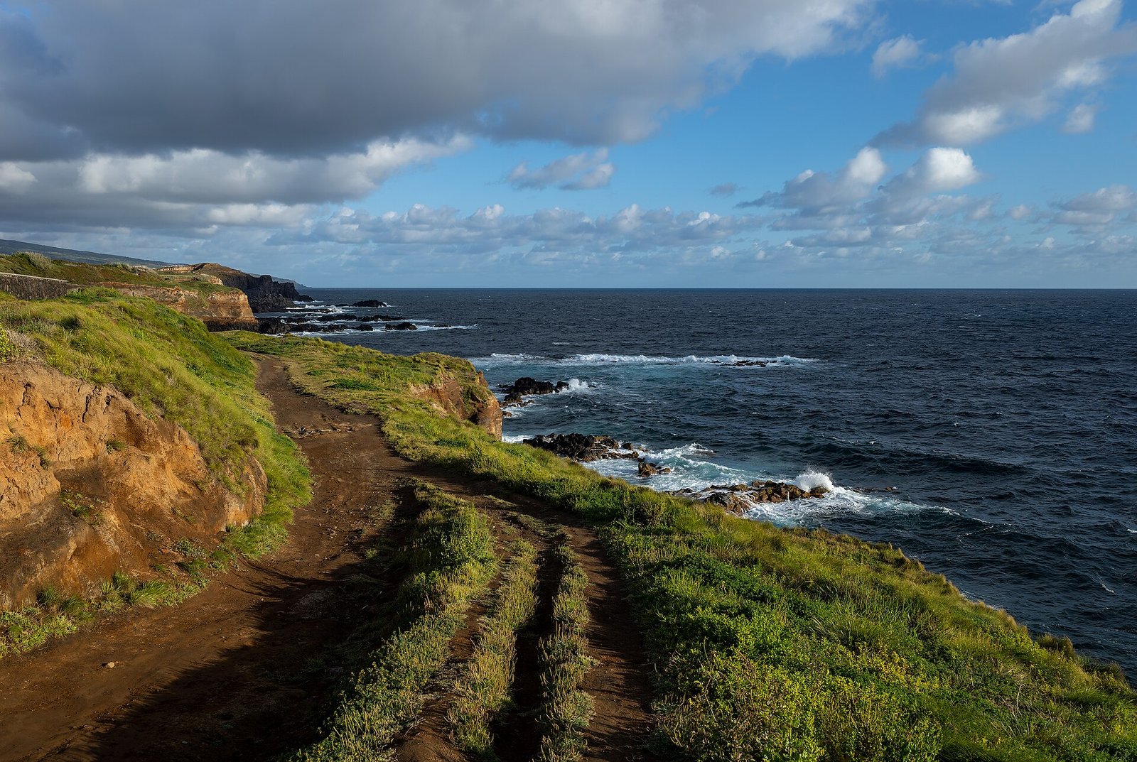 Green volcanic coastline in the Azores