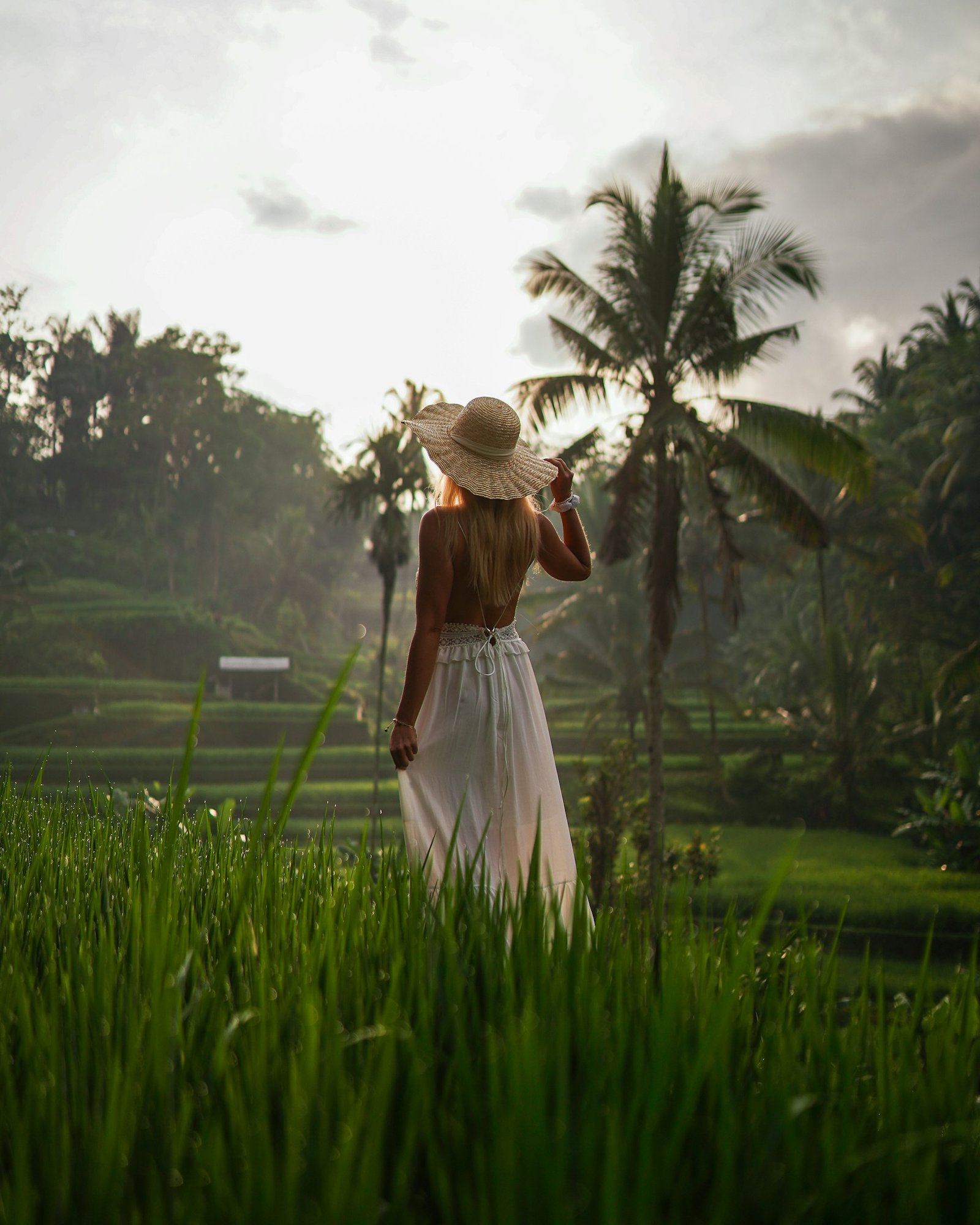 A Balinese temple surrounded by tropical greenery