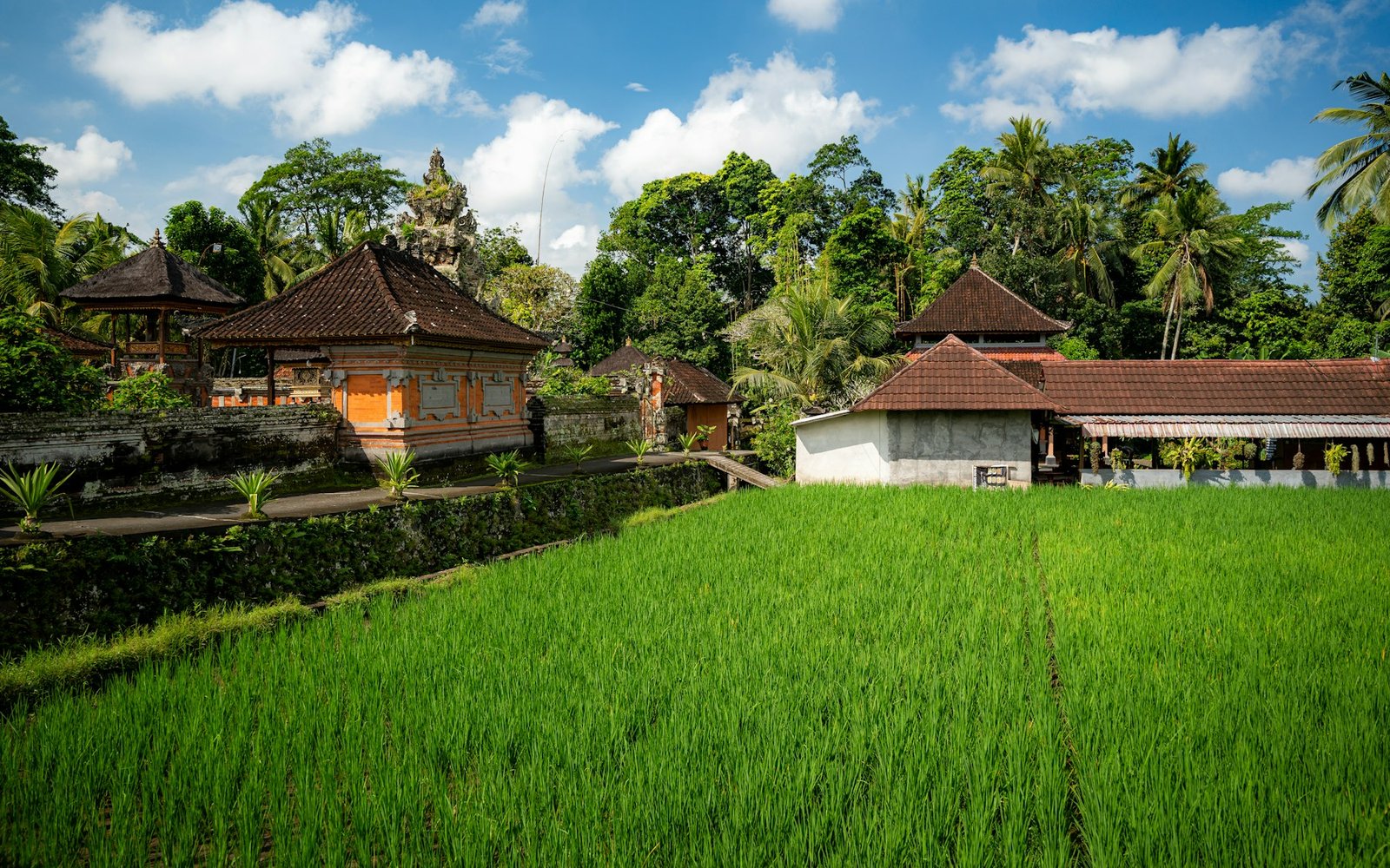 Traditional buildings beside green rice paddies in Bali