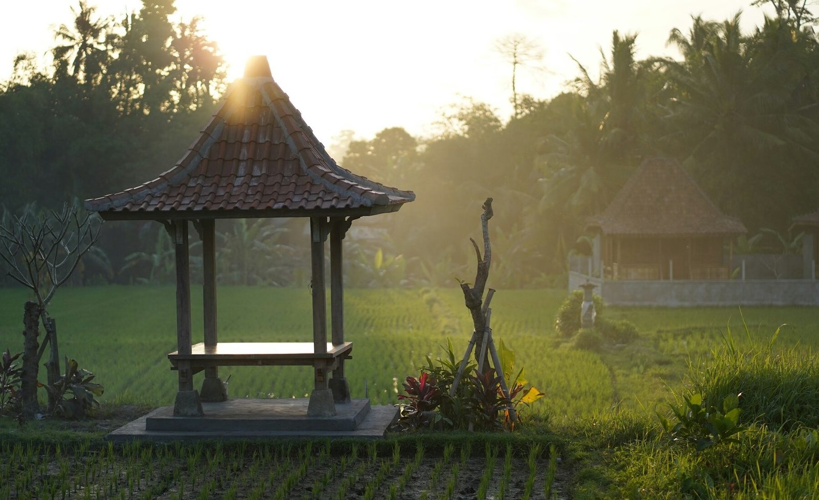 A quiet resting pavilion among rice fields in Sayan, Bali