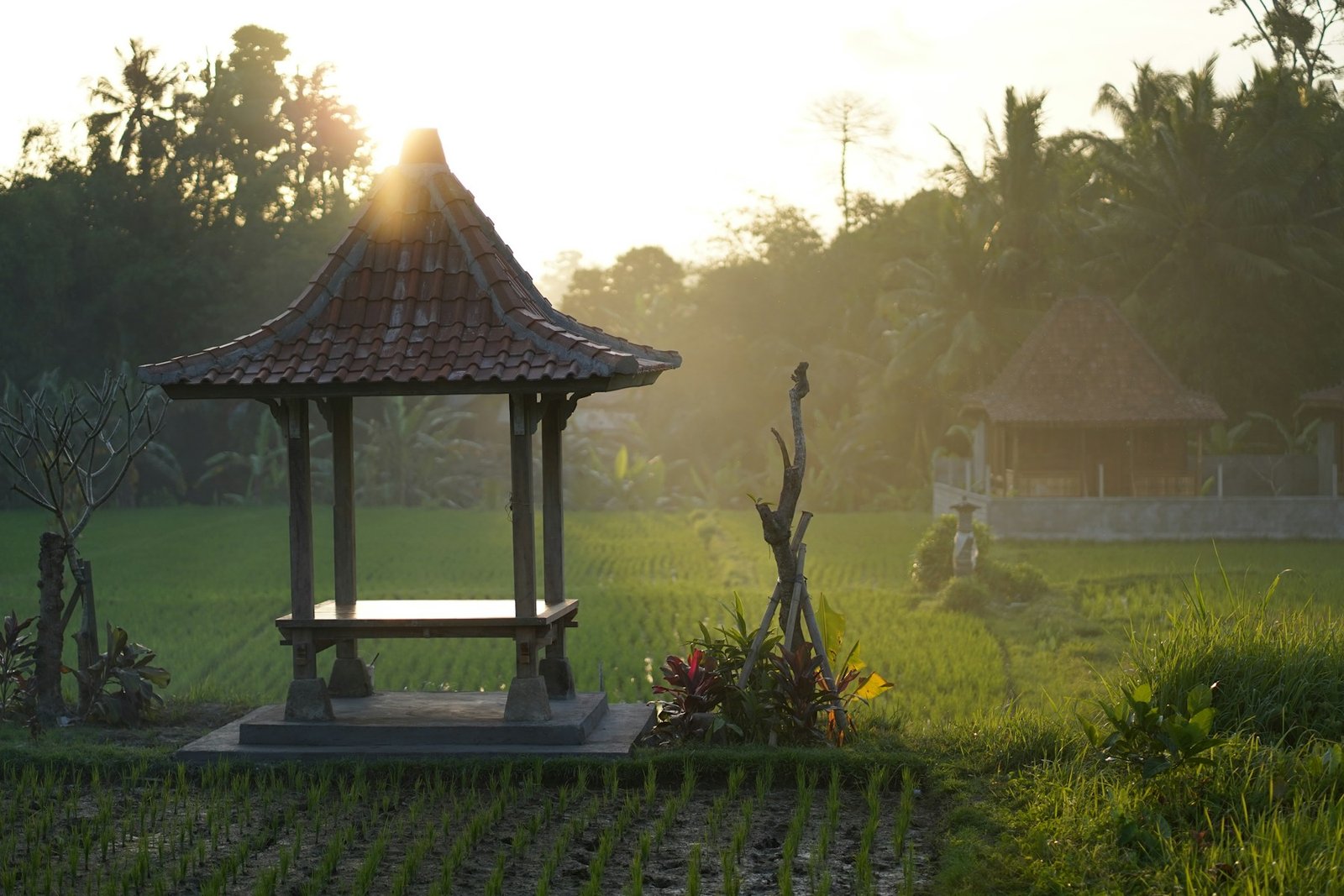 A quiet resting pavilion among rice fields in Sayan, Bali