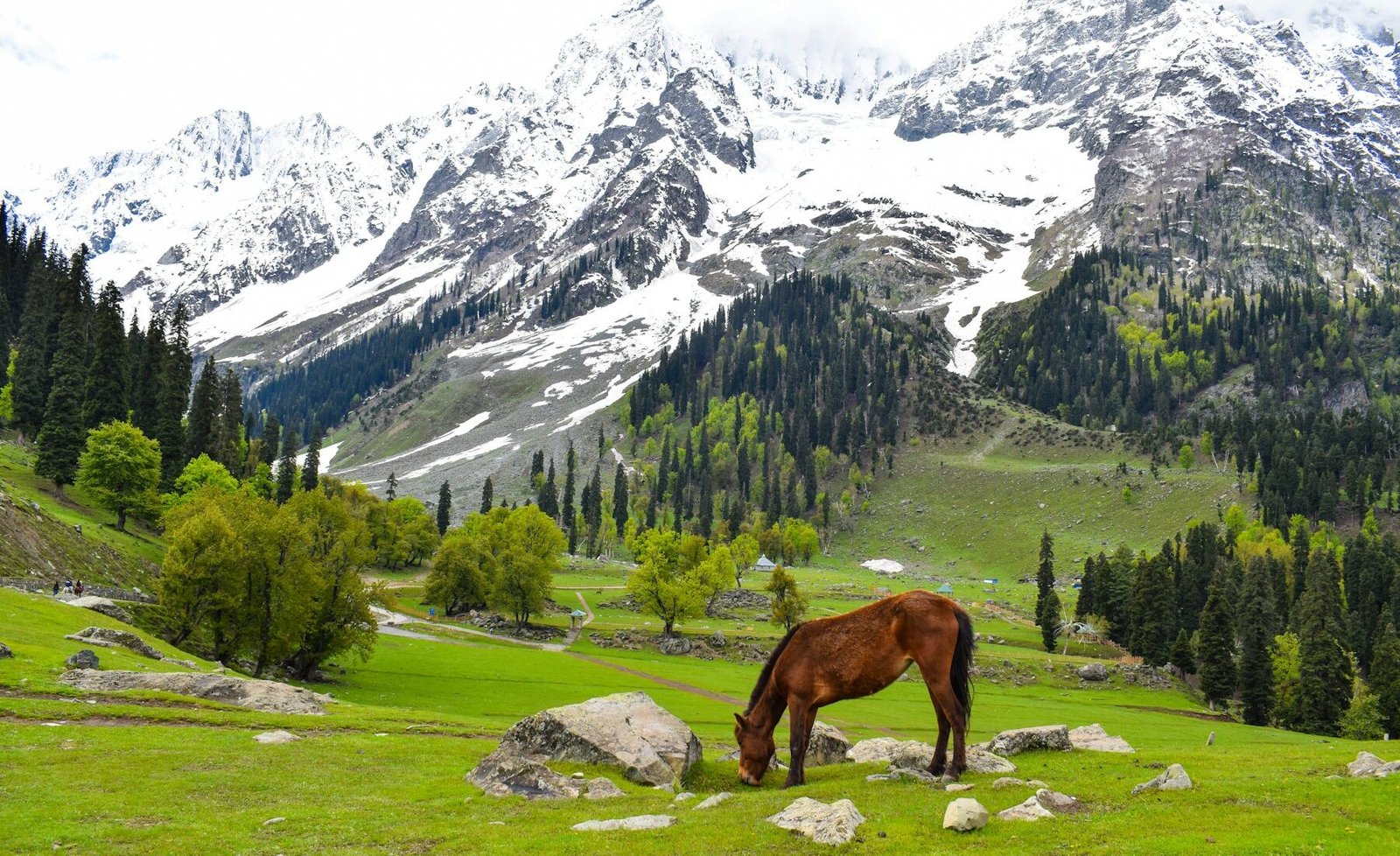 Bhutan travel landscape