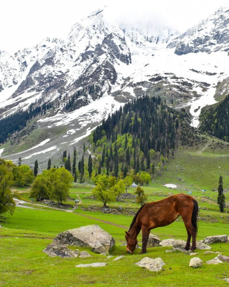 Bhutan