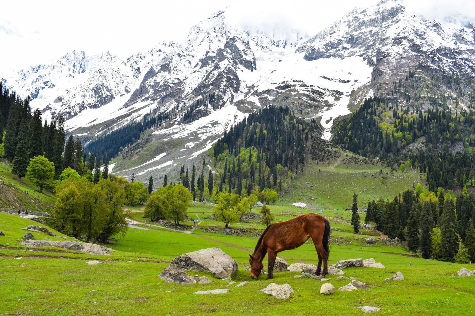 Bhutan travel landscape