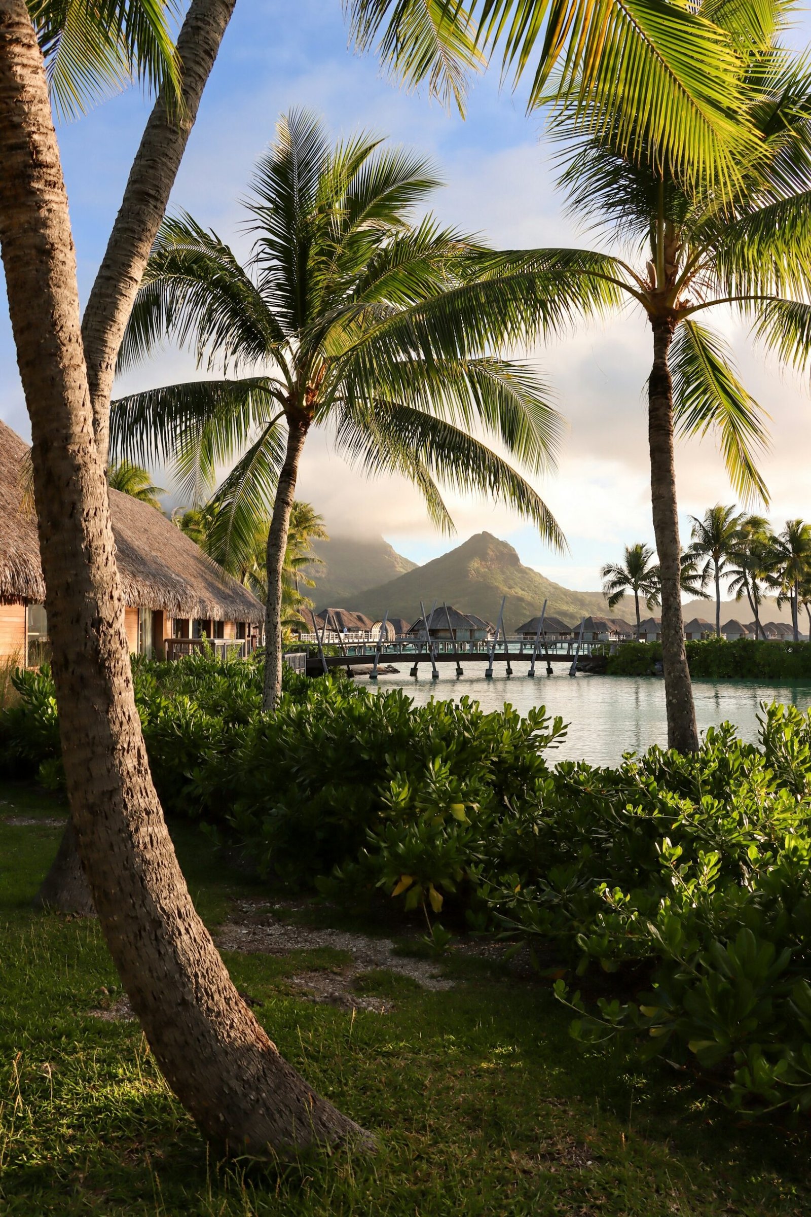 Palm trees and bungalows with Mount Otemanu beyond