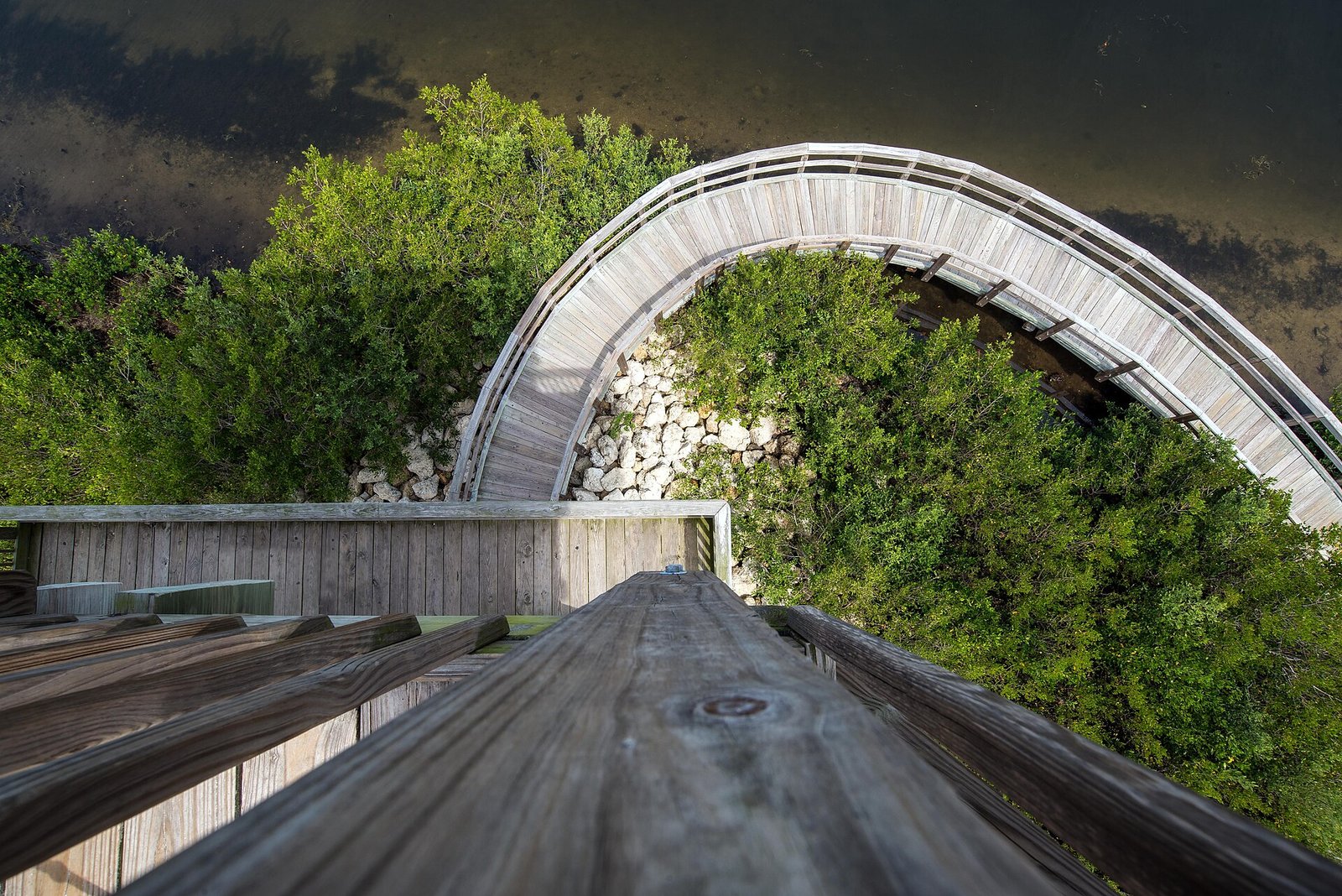 Mangrove waterway at Robinson Preserve