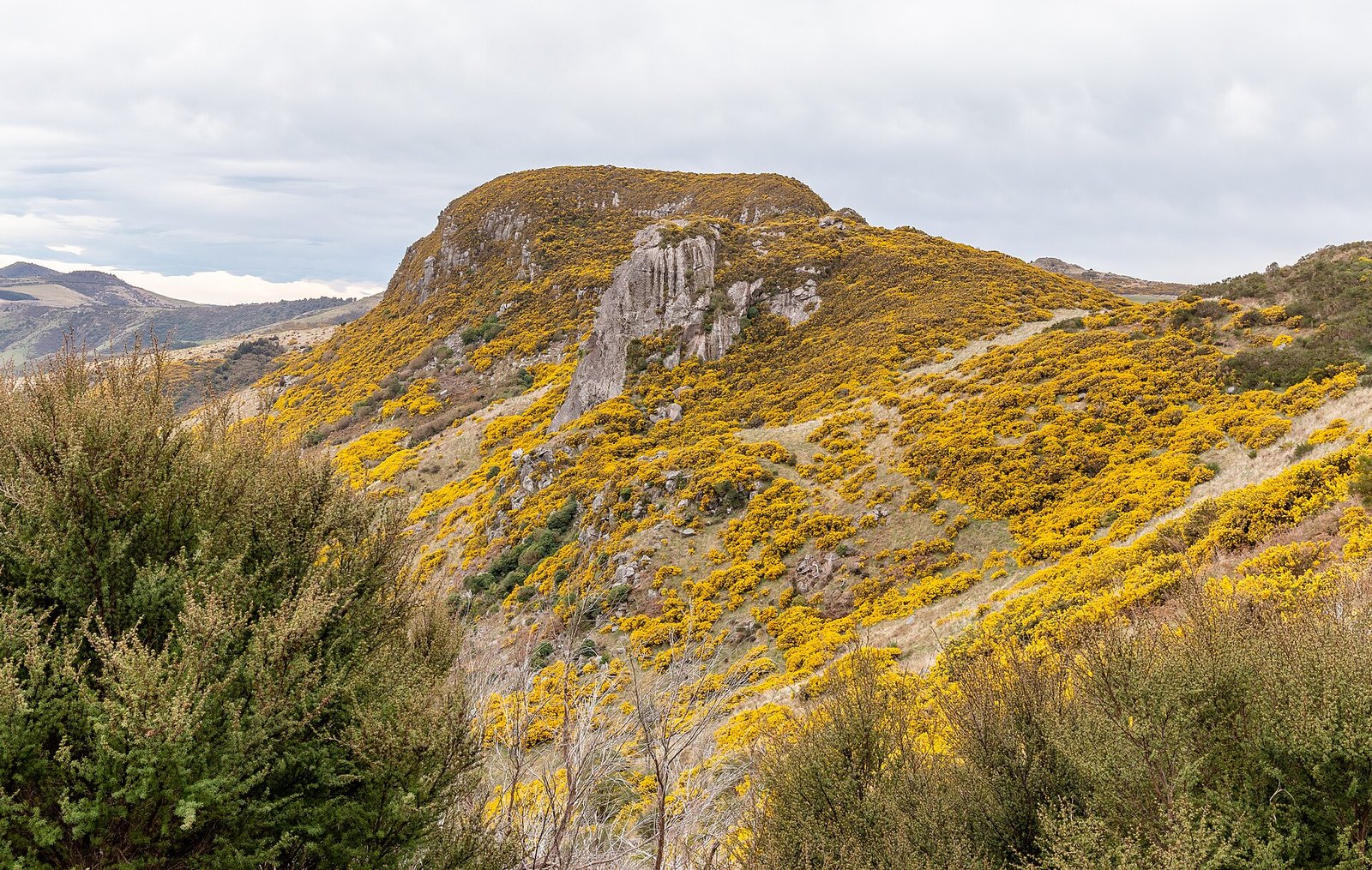 Harbor and hills on Banks Peninsula