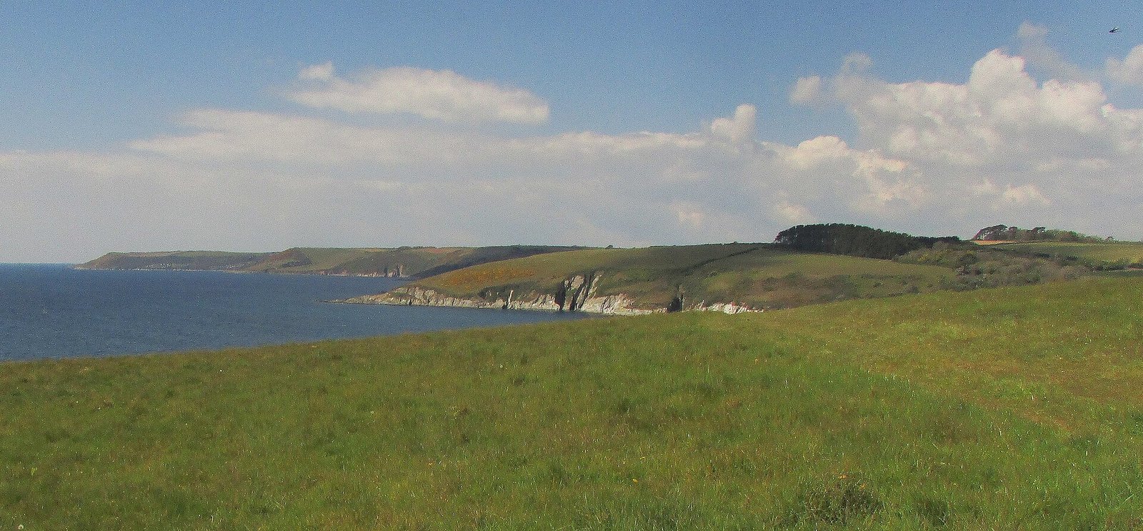 Cliffs and sea along the Devon coast