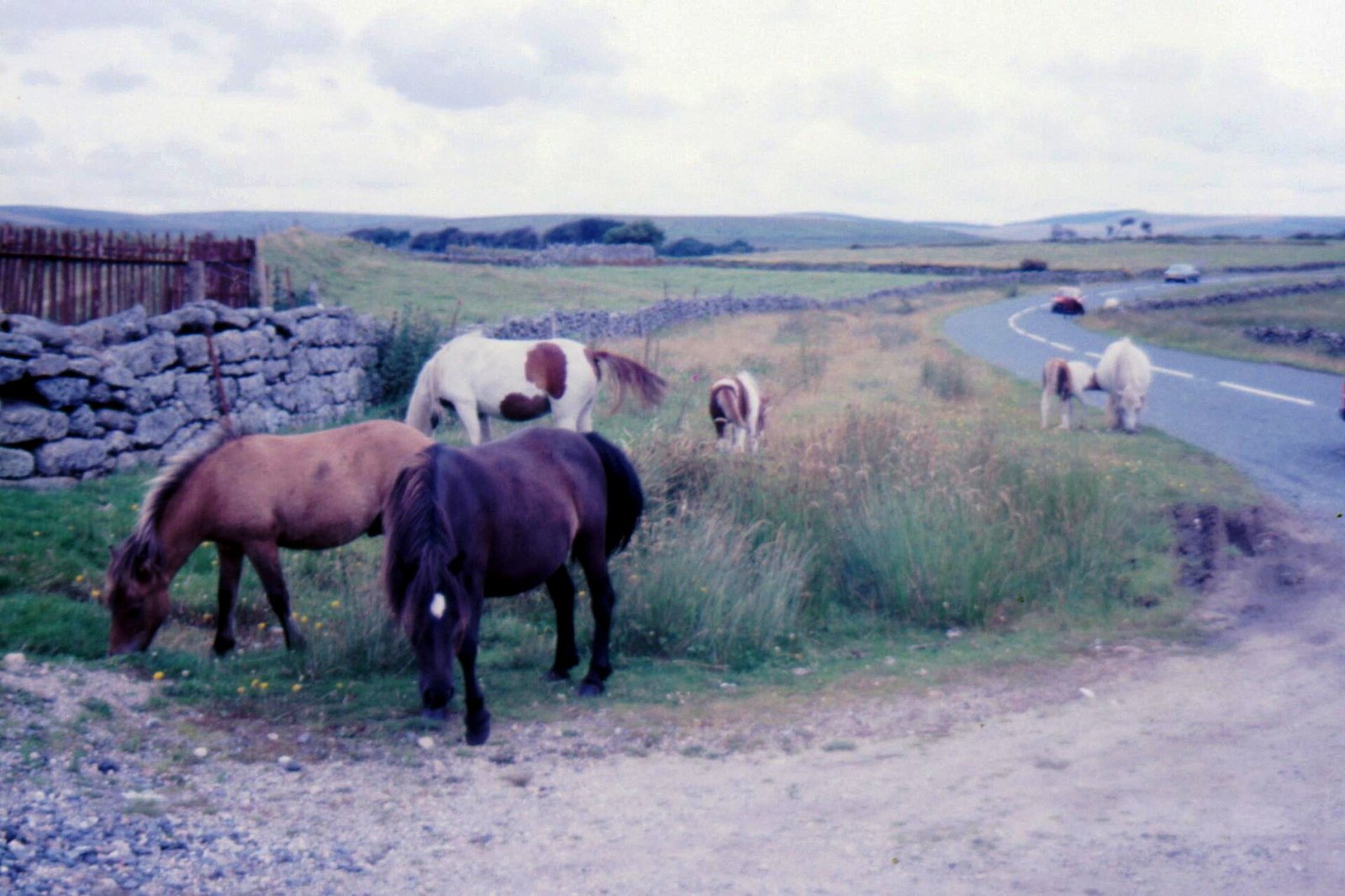 Granite tors and open moorland in Dartmoor