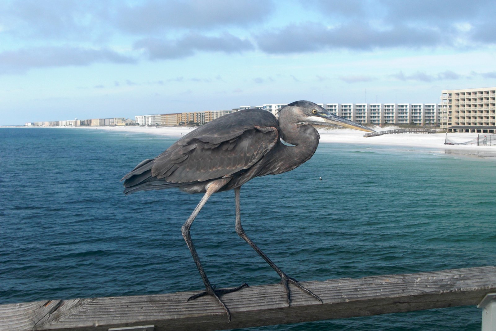 Fishing pier extending into the Gulf at Fort Walton Beach