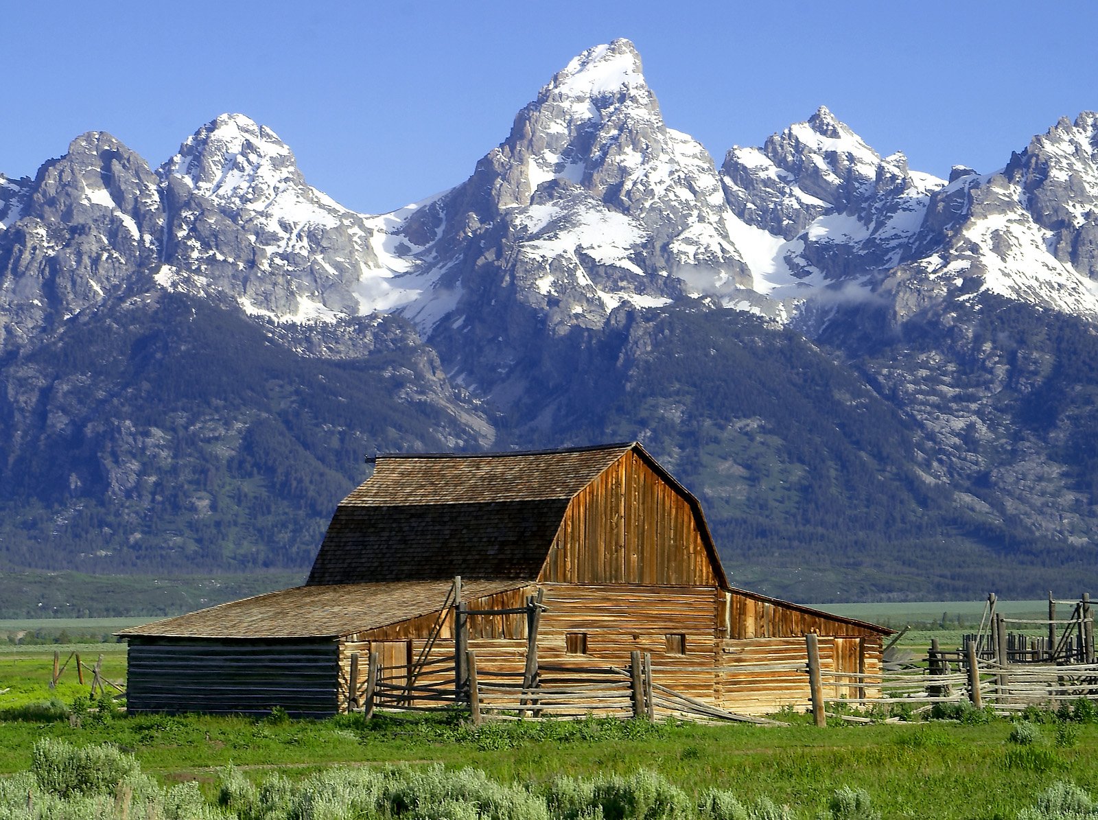 Historic barn at Mormon Row