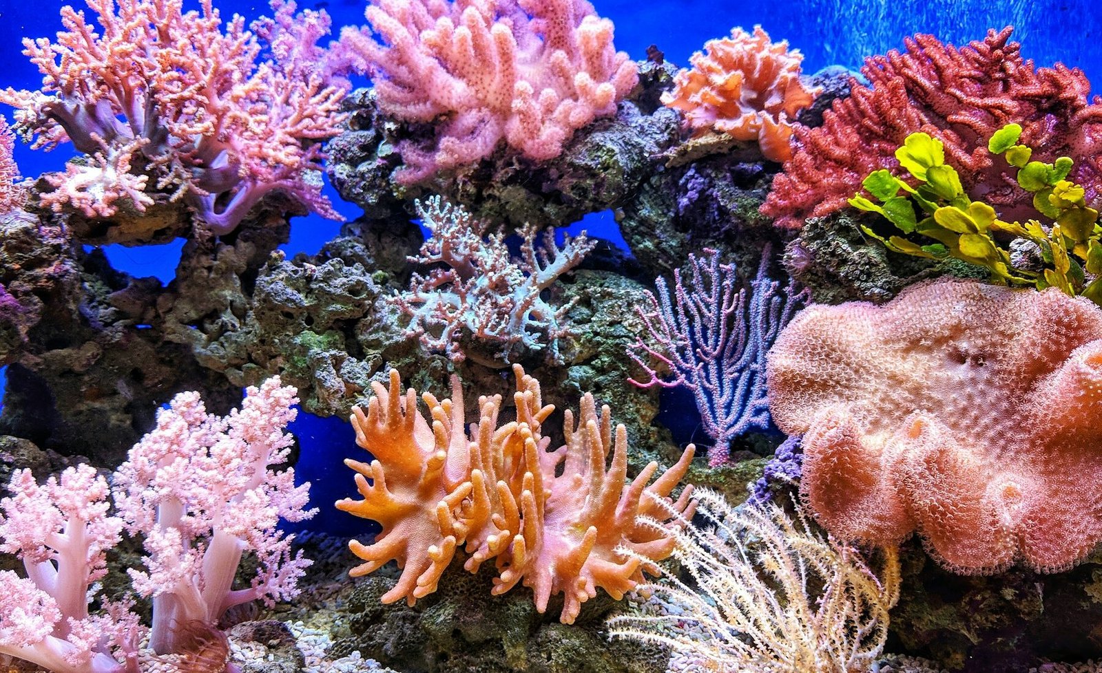 Great Barrier Reef travel landscape