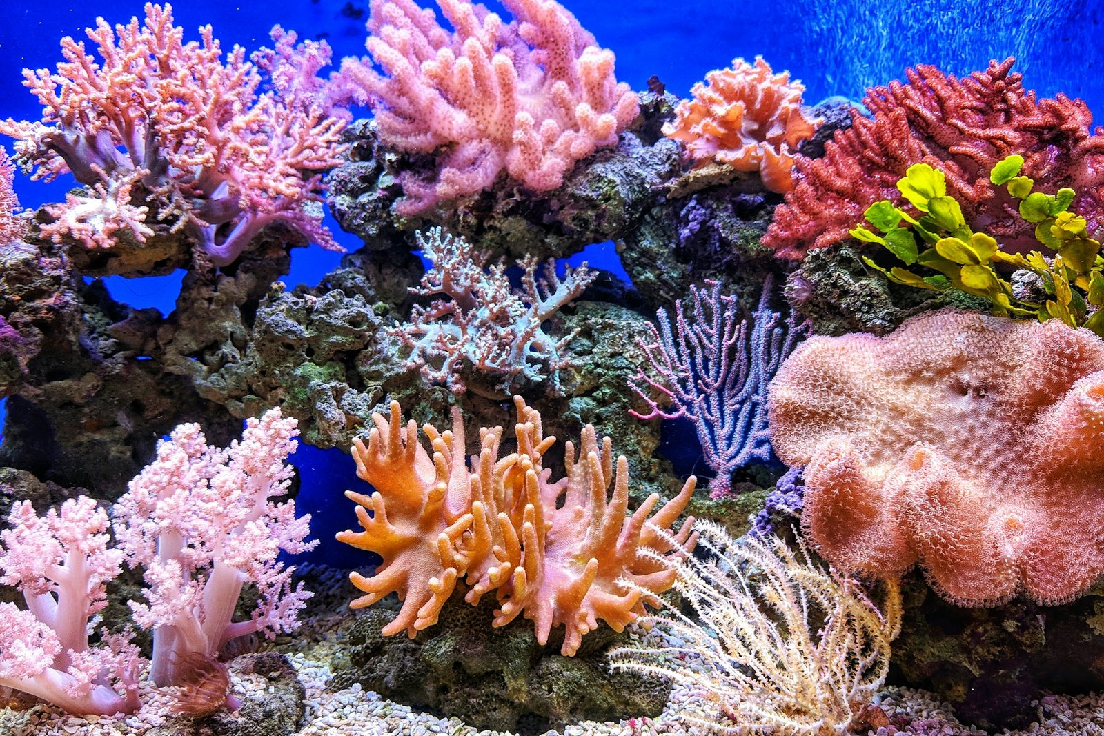 Great Barrier Reef travel landscape