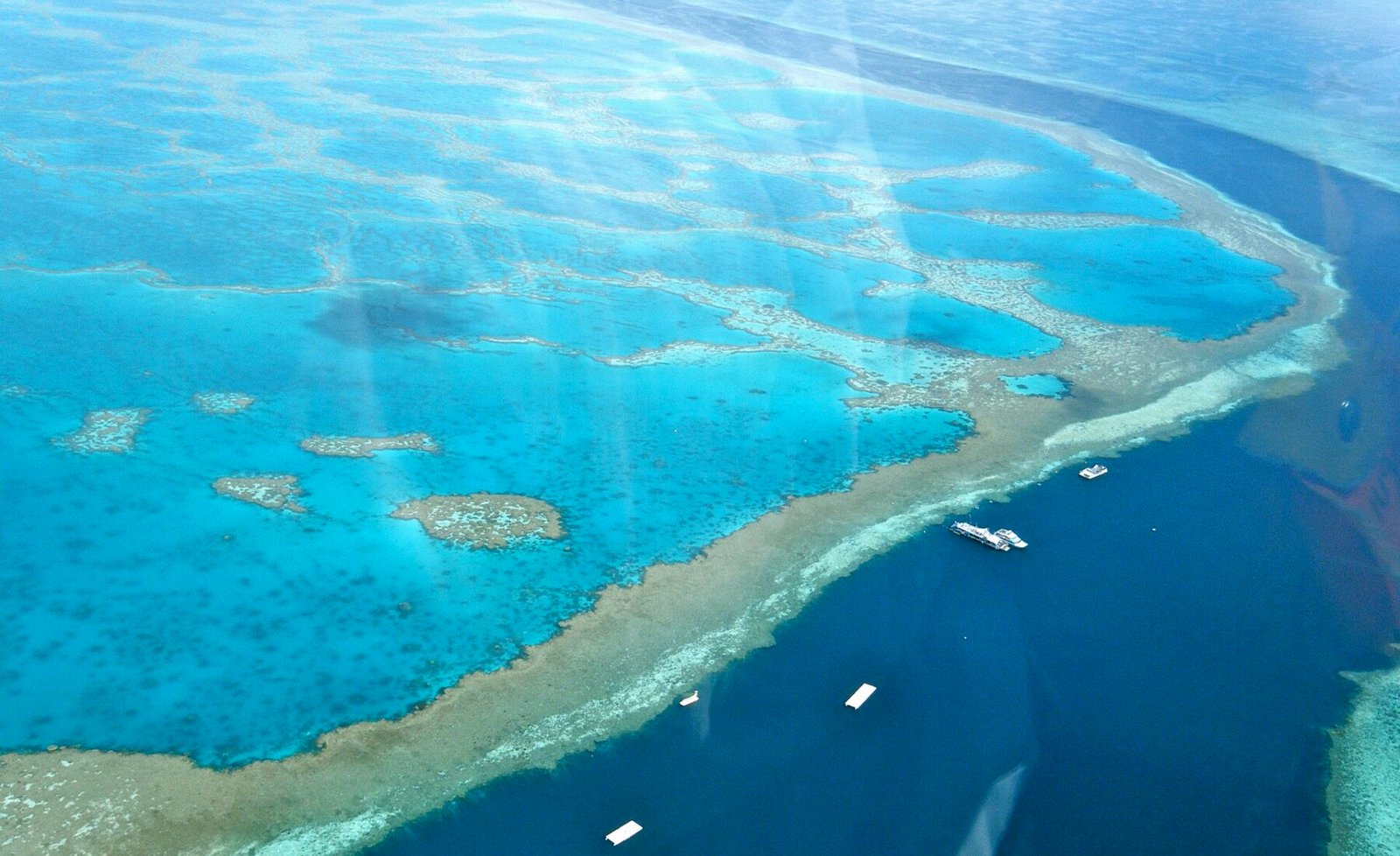 Amazing Great Barrier Reef 1.jpg in Great Barrier Reef