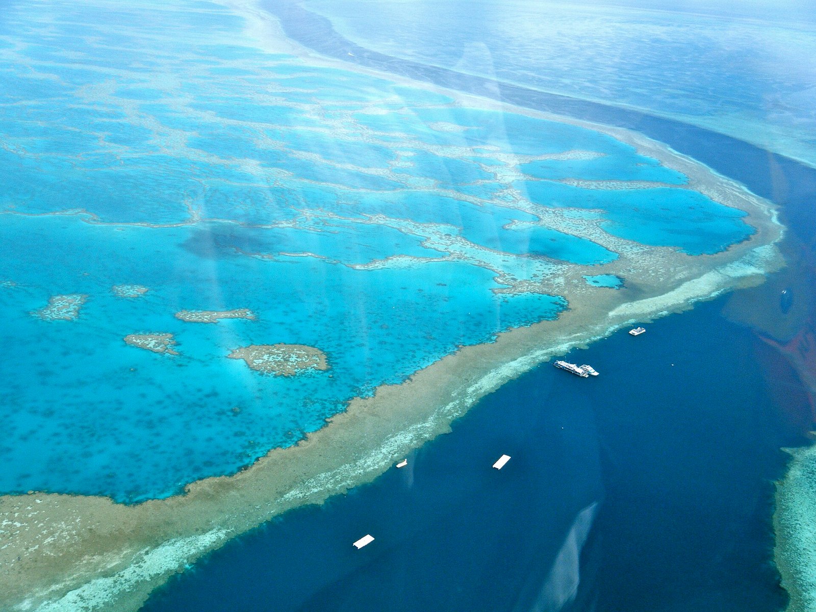 Amazing Great Barrier Reef 1.jpg in Great Barrier Reef