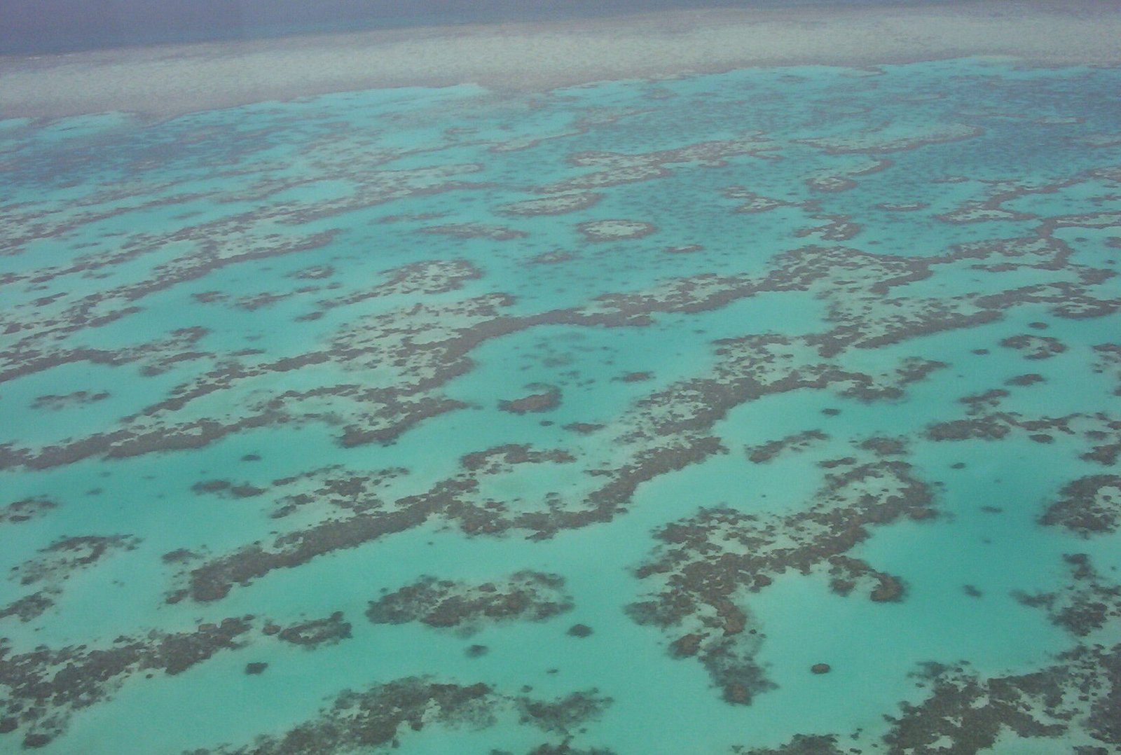 Part of the Great Barrier Reef seen from above