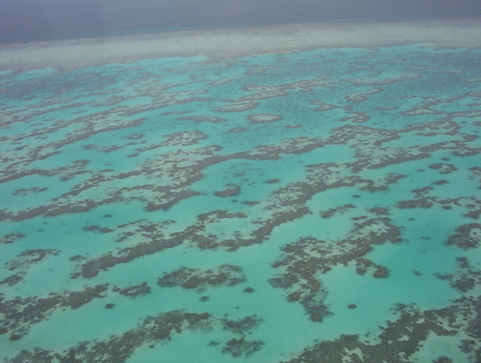 Part of the Great Barrier Reef seen from above