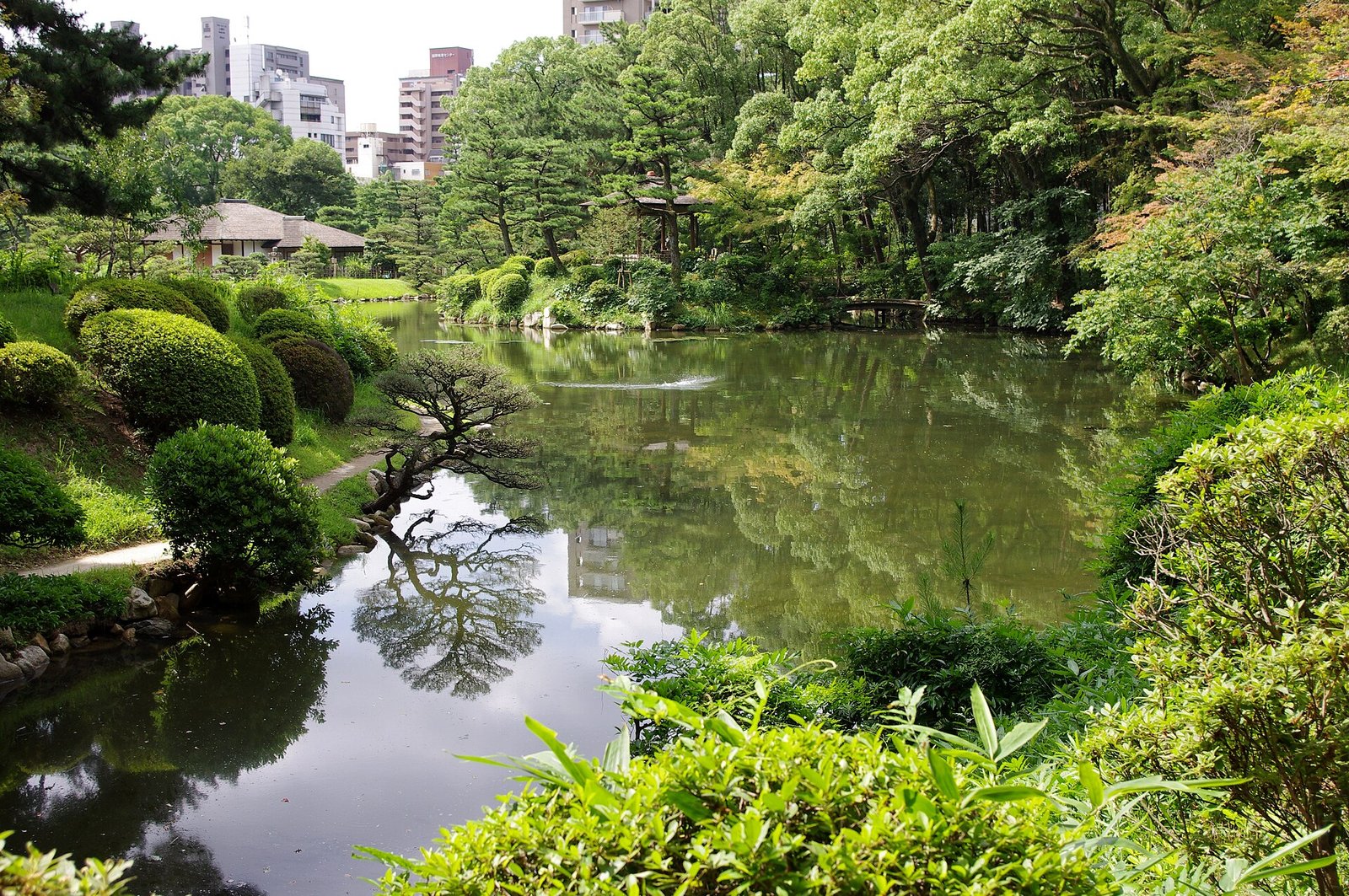 Traditional landscape at Shukkeien Garden