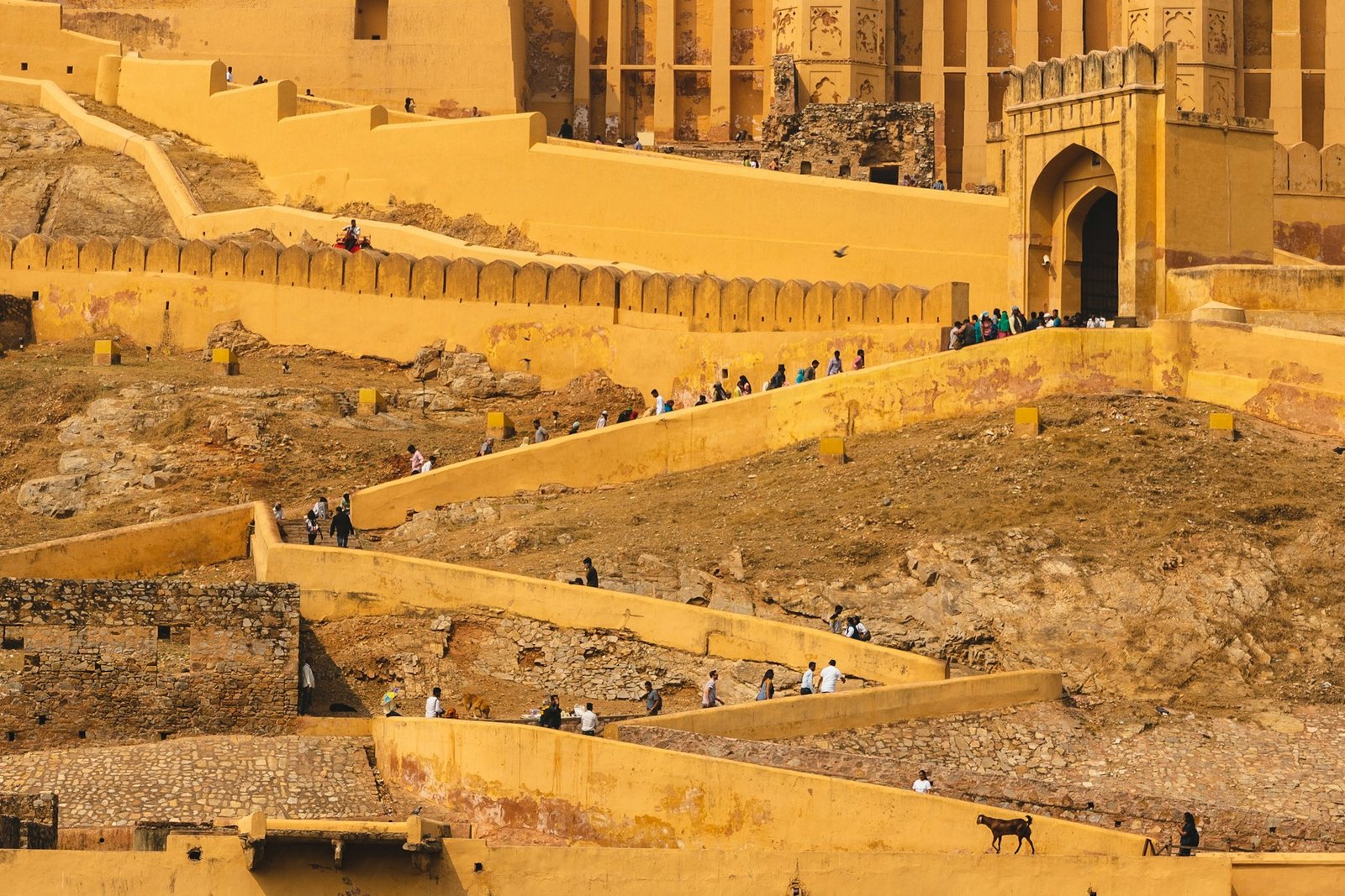 Jaipur travel landscape