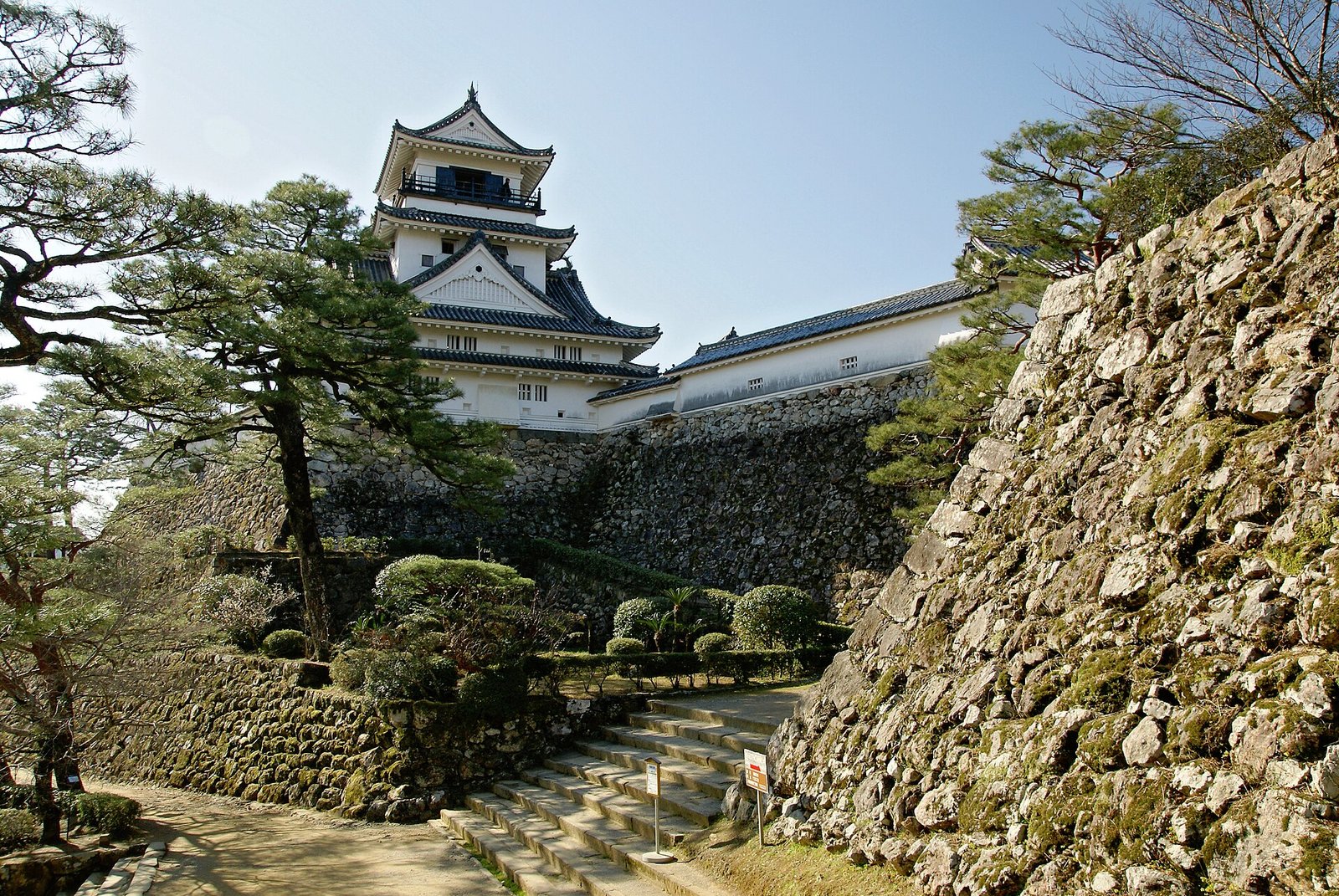 Kochi Castle above the city