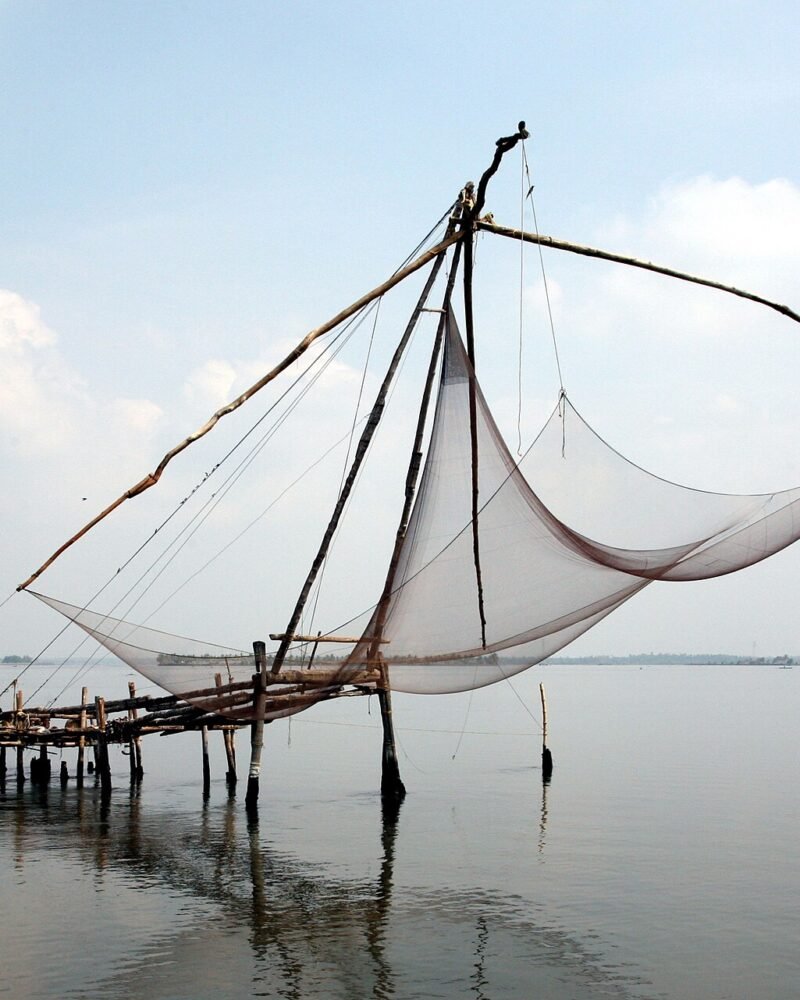 Kochi Kerala Travel Guide: Costs, Best Areas & 4-Day Itinerary