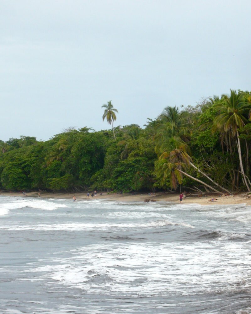 Costa Rica Caribbean Coast Guide: Costs & 7-Day Plan