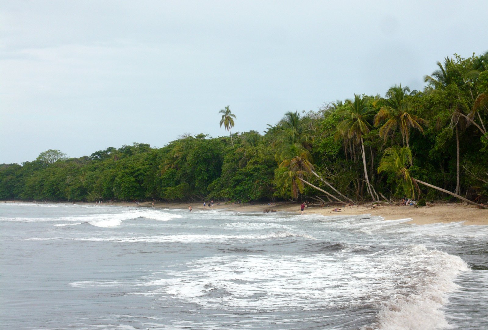 Tropical beach and forest in Cahuita National Park