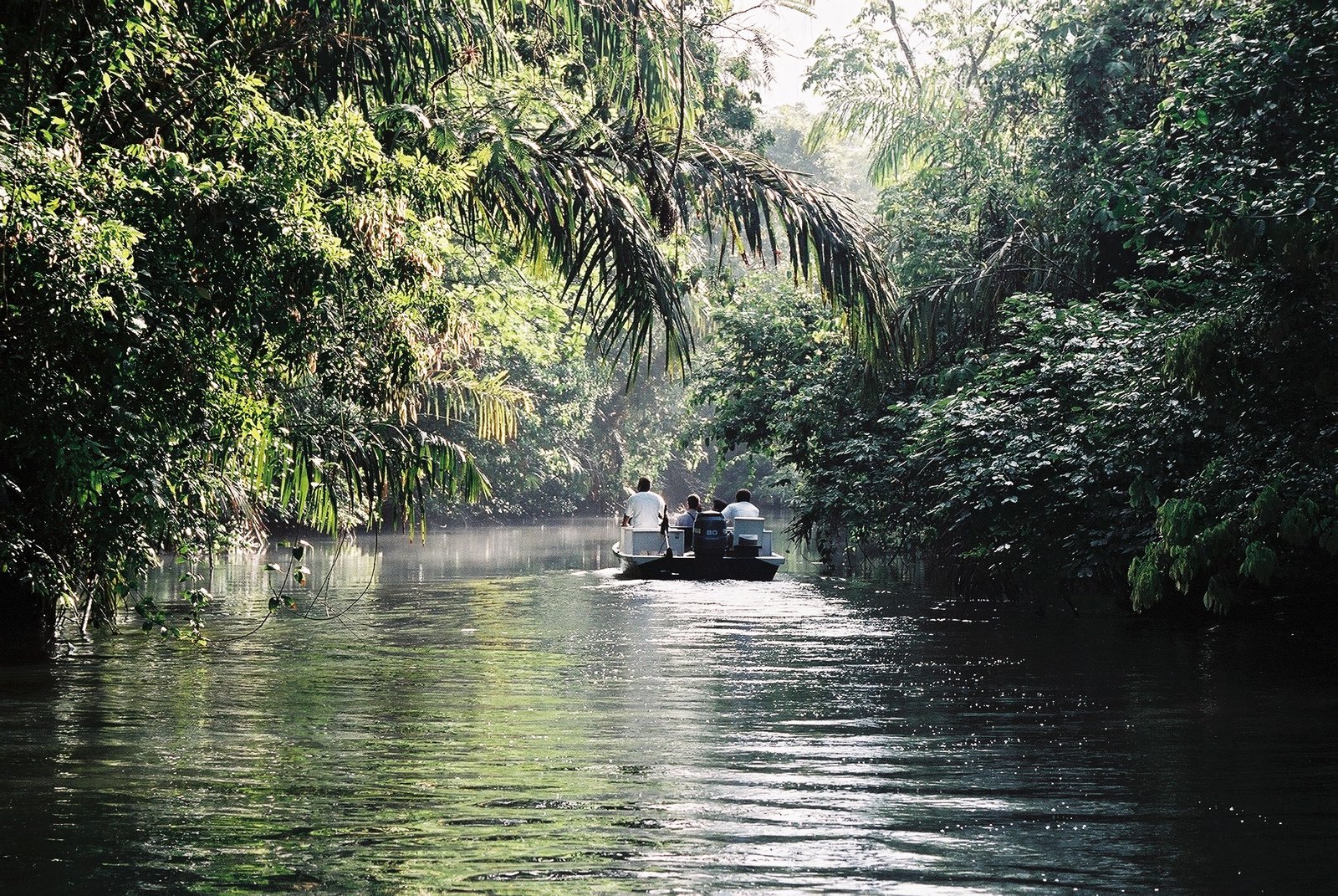 Rainforest canal in Tortuguero National Park