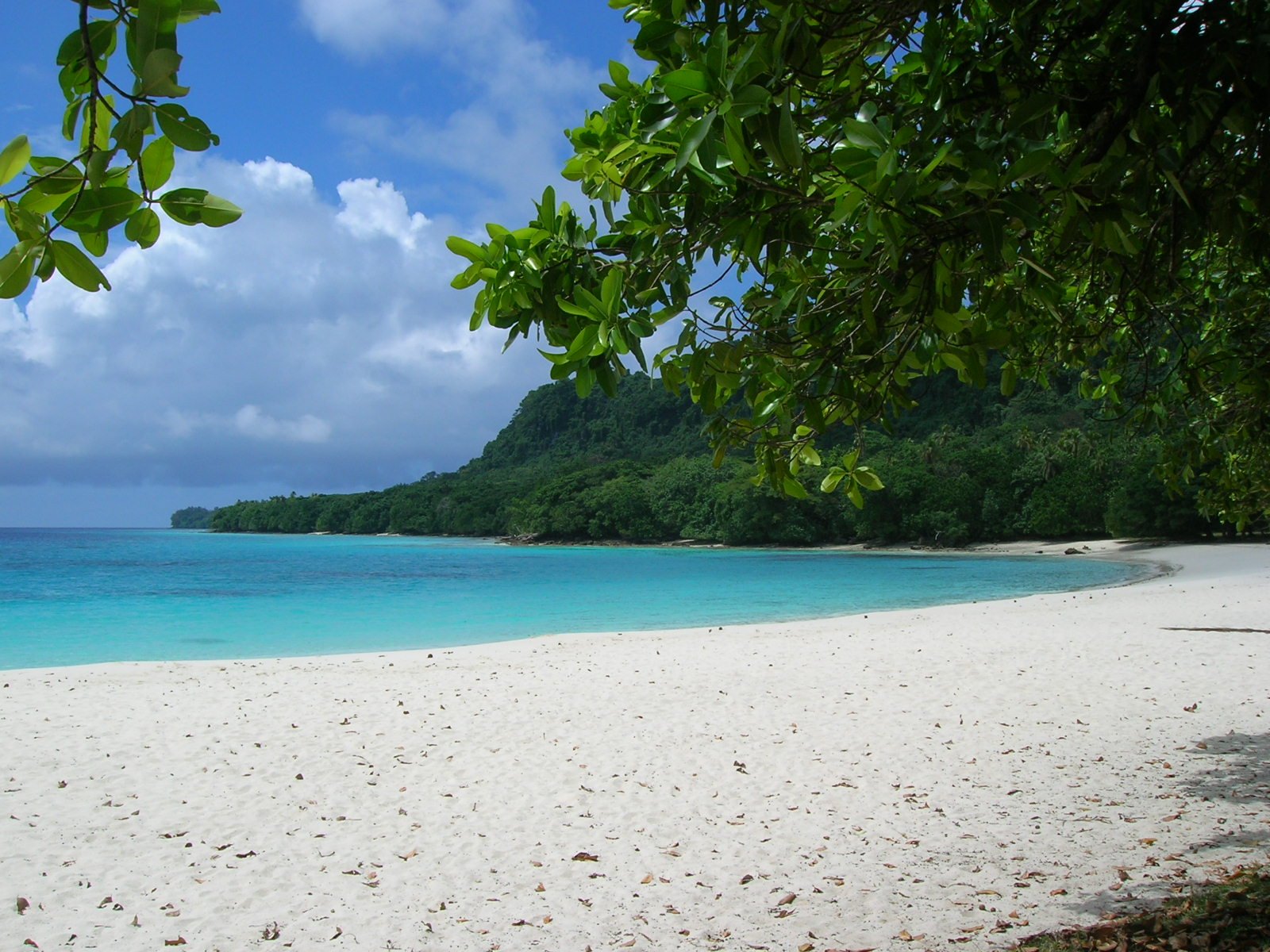 White sand and turquoise water at Champagne Beach