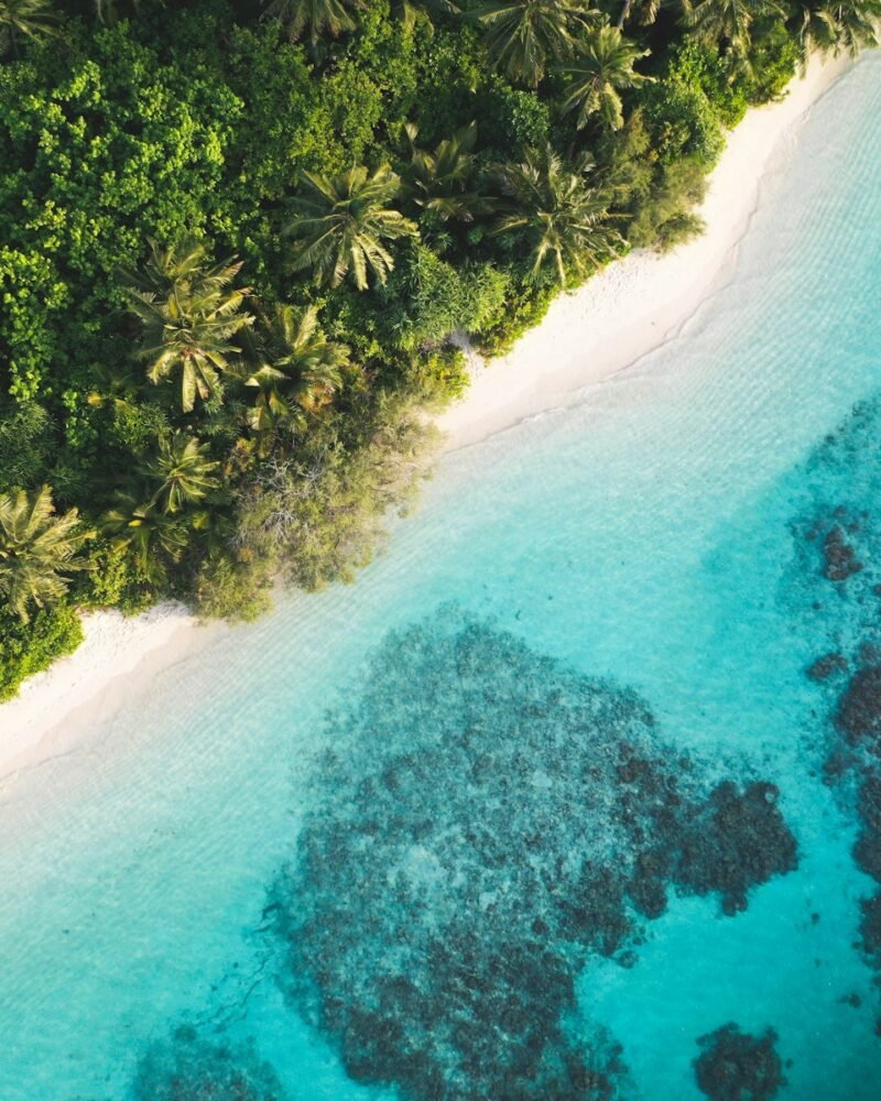 The Maldives