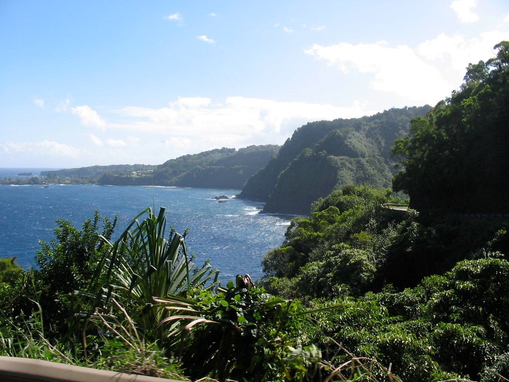 Maui coast.jpg in Maui
