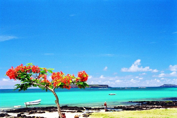 Turquoise water along the coast of Mauritius