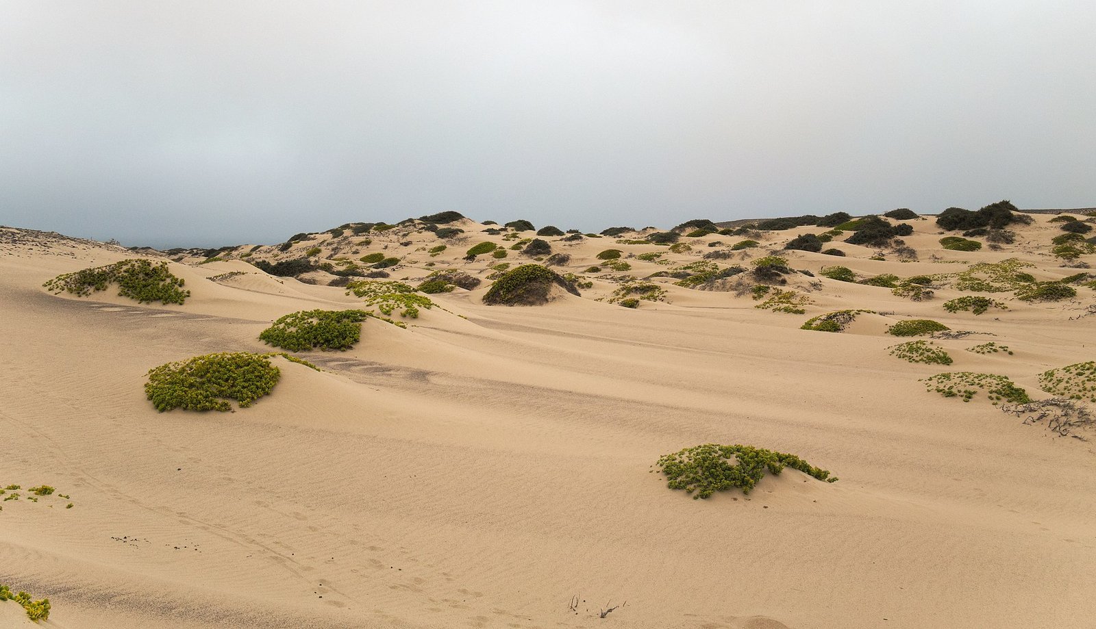 Desert meeting the Atlantic on Namibia's coast