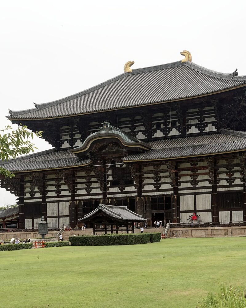 Nara Travel Guide: Temples, Costs, Best Areas & 3-Day Plan