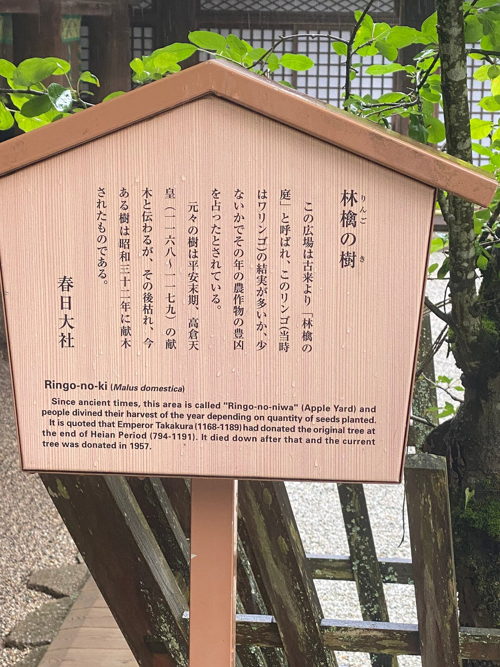 Stone and bronze lanterns at Kasuga Taisha
