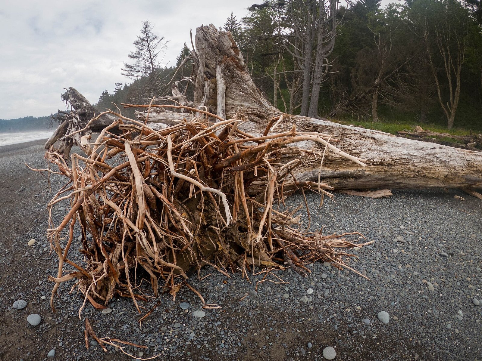 Sea stacks and driftwood on Rialto Beach