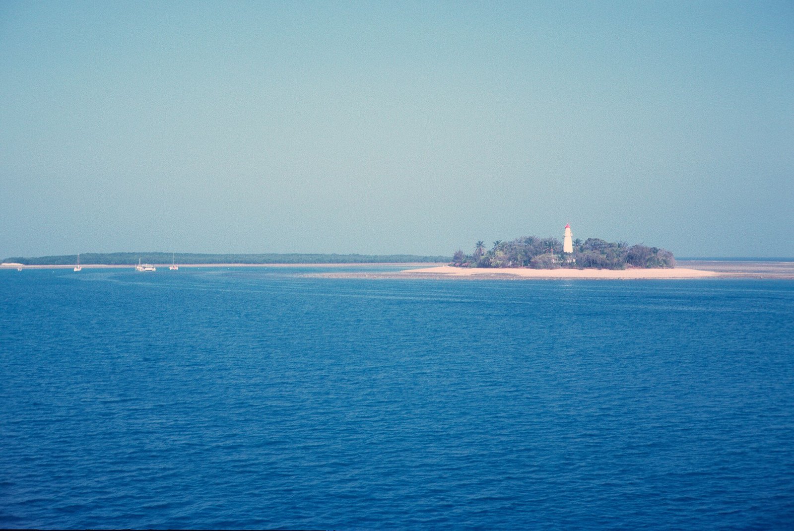 Coral reef off Port Douglas