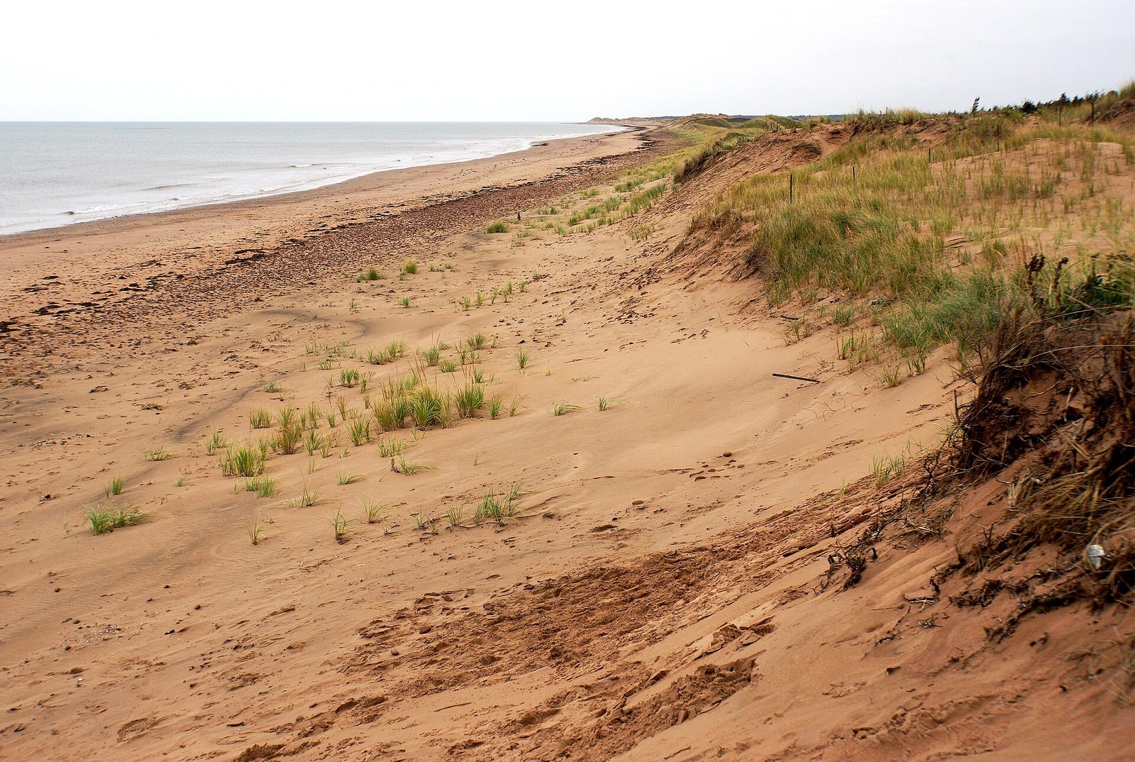 Dunes and beach in Prince Edward Island National Park