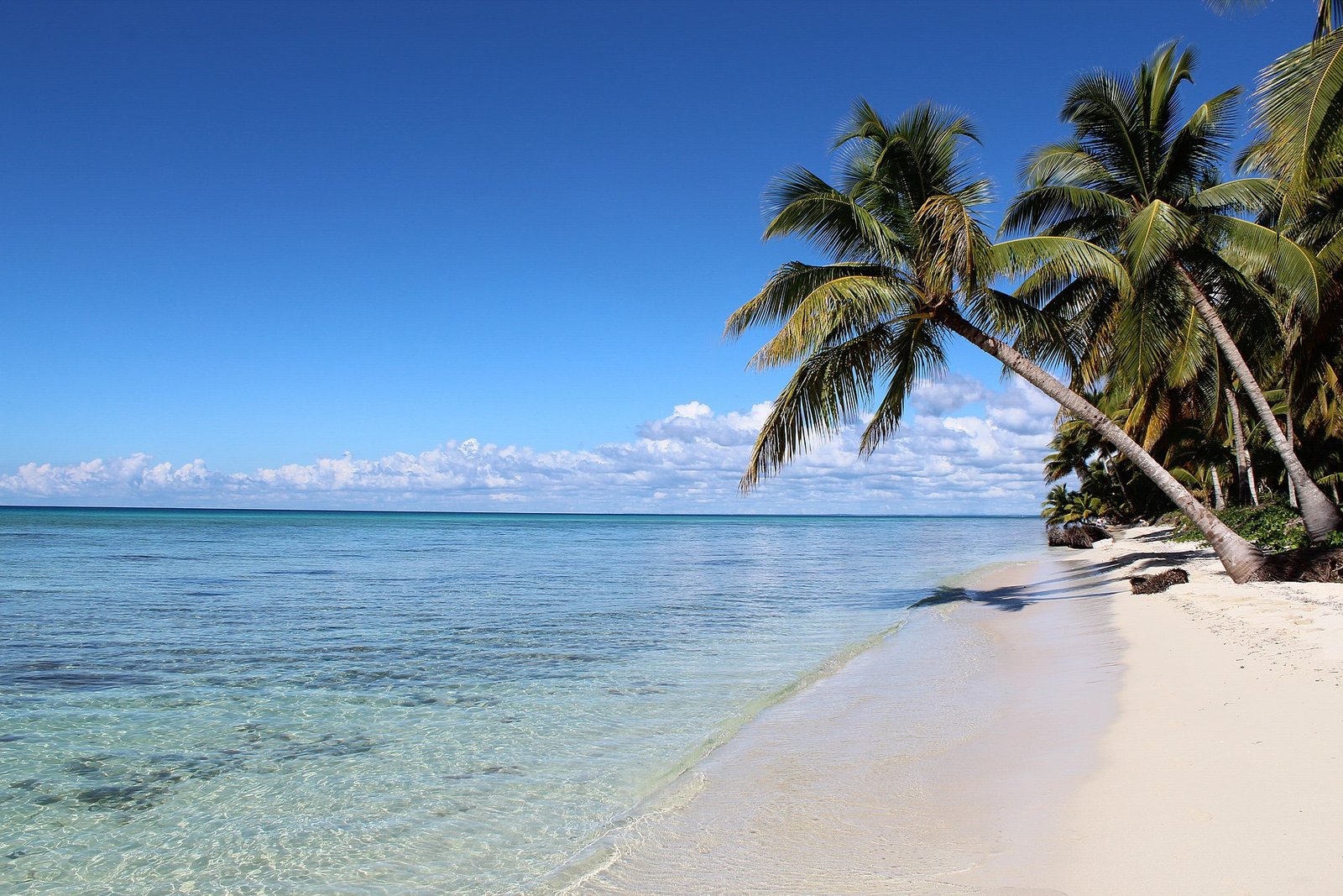 White sand and shallow blue water on Saona Island
