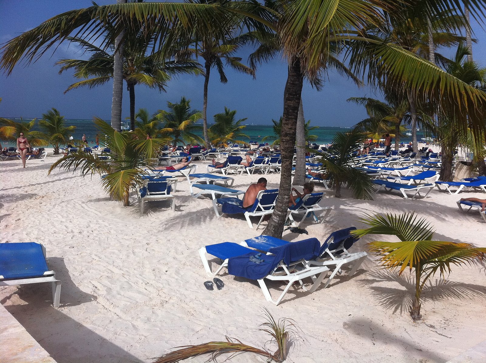 Tropical resort beach in Punta Cana